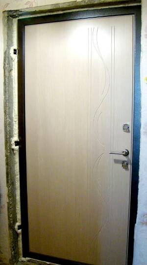 Фото установленной двери Аргус Йошкар-Ола